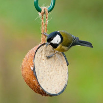 Vogelbescherming halve cocosnoot gevuld